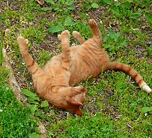 Look Ma! I got thumbs! by Vivian Eagleson