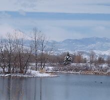 Winter (Alias Sprintime) by Barb Miller
