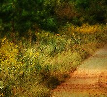 Country Road by Ginger Barritt