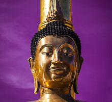 gold buddha by ratto