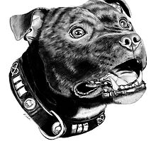 Staffordshire Bull Terrier by KARLNASH