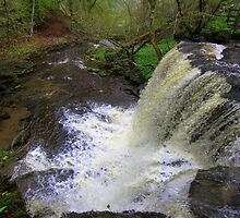 Summer Lodge Falls, Swaledale, England by Ian Alex Blease