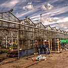 Greenhouse by axp7884