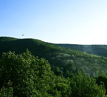 nature by slavikostadinov