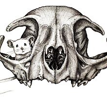 The Game of Cat & Mouse #6 by sillosophy