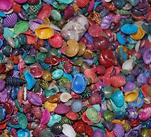 Guess how many????? by zpawpaw
