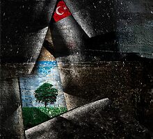 Gezi Park by Alex Preiss