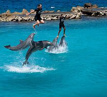 Dolphin powered flight by Ralph Goldsmith