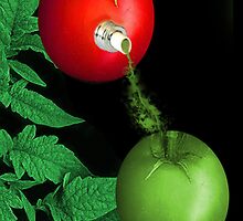 ☝ ☞ TOMATOE SPOUT OF COLOUR☝ ☞ by ✿✿ Bonita ✿✿ ђєℓℓσ