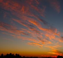 Torpedo Clouds by MarianBendeth