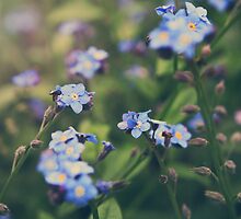 We Lay With the Flowers by Laurie Search