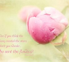 Who Sent the Flowers? by KBritt