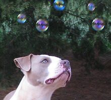 Fascination ~ by Ginny York