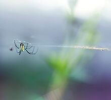 Defying Gravity by Josie Eldred