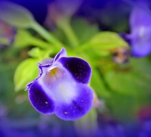 The Request ! by Elfriede Fulda