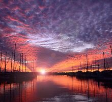 Fire In The Sky by MissChezz