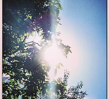 Shining Through by Trippy Publishing