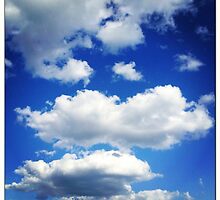 Sky Fluff by Trippy Publishing