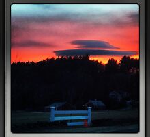 Sailor's Delight by Trippy Publishing