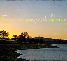 Forever is composed of nows by Linda Lees
