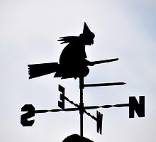 Somerset Witch by lynn carter