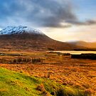 Loch Tulla - Scottish Highlands Landscape by Mark Tisdale