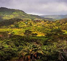 Chamarel 1. Mauritius by JennyRainbow