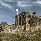 Tynemouth Priory by Andrew Pounder