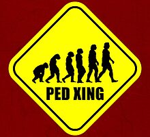 Ped Xing by jebez-kali