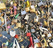 Love Locks on the Seine by TheDrunkSnail