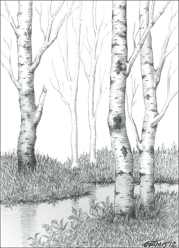 Best How To Draw A Birch Tree In The World Don T Miss Out Howtodrawline