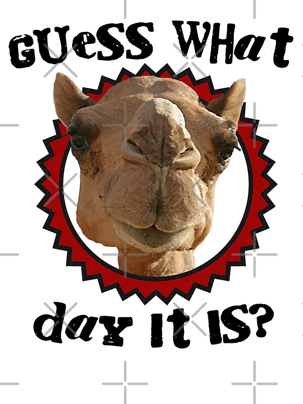 "Hump Day Camel - Guess What Day it Is - Wednesday is Hump Day - Parody