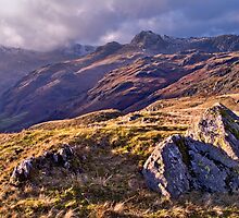 Langdale Light, Great Langdale - The Lake District by Dave Lawrance