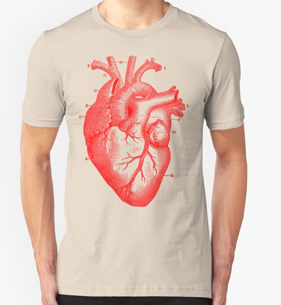 anatomical shirt