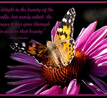 We delight in the beauty of the butterfly by Jan Tribe