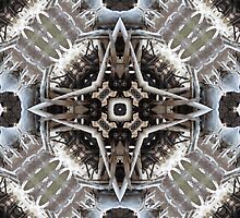 Wildwood by SRowe Art