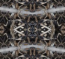 Wildwood 2 by SRowe Art