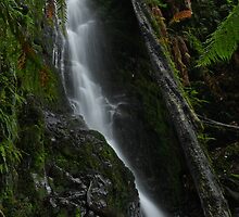 Unknown Waterfall #3 by Simon Penrose