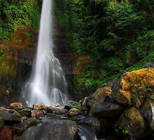 Magic Land V by Felix Haryanto