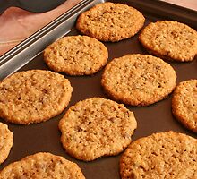 Chocolate Chip Cookies on a Pan by rhamm