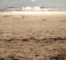 Its time to get my feet sandy by Nina Matthews Photography
