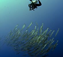 In the Blue by Gianni Cicalese