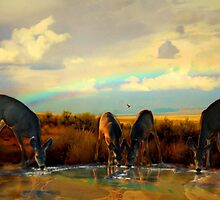 Taste The Rainbow by Arla M. Ruggles