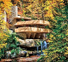 Frank Lloyd Wright Fallingwater by Steve Ivanov