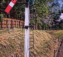 Signal on the North Norfolk Railway by Avril Harris