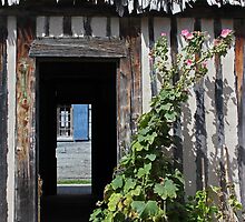 Thatched Roof Door Plant by marybedy