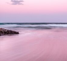 Tropical Paradise by Pete Evans