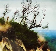 Surviving on the Cliff Top by PictureNZ