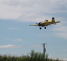 Crop Dusting by VJSheldon