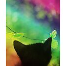 A cat see the rainbow by yukyco